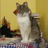 Отзыв от Оксана Скворцова